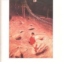 BLUE OYSTER CULT Cultosaurus Erectus Vinyl Record LP CBS 1980