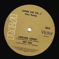ELVIS PRESLEY Loving You Vol. 2 EP Vinyl Record 7 Inch Australian RCA Victor 1975 Pic Sleeve 20129