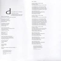 HOT CHIP A Bath Full Of Ecstasy Vinyl Record LP Domino 2019