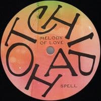 HOT CHIP A Bath Full Of Ecstasy Vinyl Record LP Domino 2019