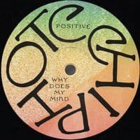 HOT CHIP A Bath Full Of Ecstasy Vinyl Record LP Domino 2019