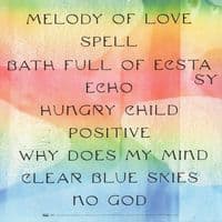 HOT CHIP A Bath Full Of Ecstasy Vinyl Record LP Domino 2019