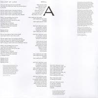 HOT CHIP A Bath Full Of Ecstasy Vinyl Record LP Domino 2019