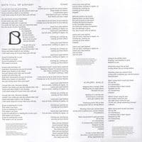 HOT CHIP A Bath Full Of Ecstasy Vinyl Record LP Domino 2019