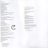 HOT CHIP A Bath Full Of Ecstasy Vinyl Record LP Domino 2019