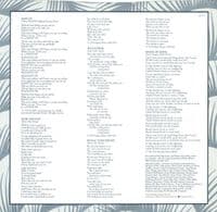 JESSE COLIN YOUNG American Dreams Vinyl Record LP US Elektra 1978