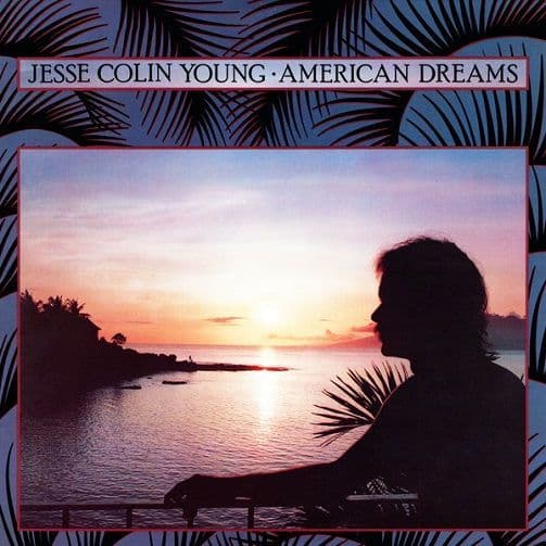 JESSE COLIN YOUNG American Dreams Vinyl Record LP US Elektra 1978