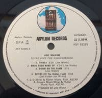 JOE WALSH There Goes The Neighborhood Vinyl Record LP Portuguese Asylum 1981