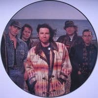 MARILLION Dry Land Vinyl Record 12 Inch EMI 1991 Picture Disc