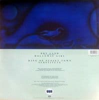MARILLION Dry Land Vinyl Record 12 Inch EMI 1991 Picture Disc