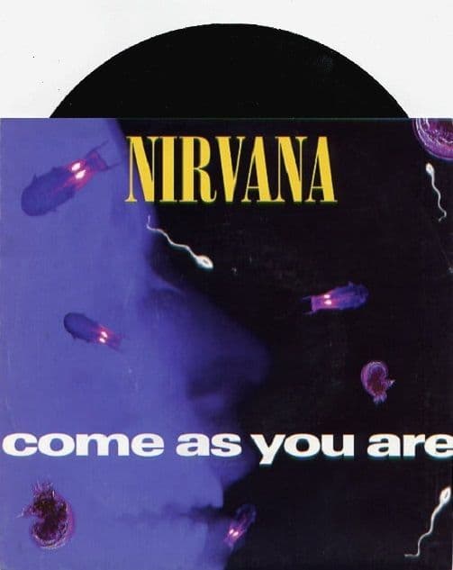 NIRVANA Come As You Are Vinyl Record 7 Inch DGC 1992