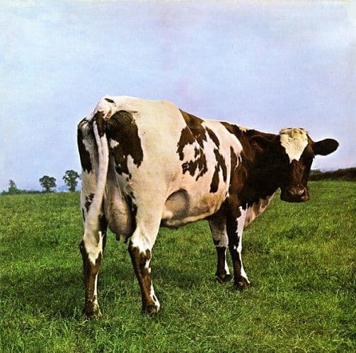 PINK FLOYD Atom Heart Mother Vinyl Record LP Harvest