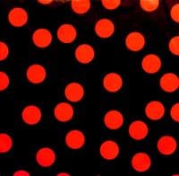 ROD STEWART Foolish Behaviour Vinyl Record LP Warner Bros. 1980