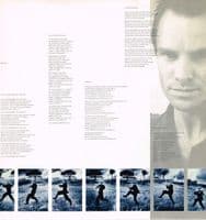 STING The Dream Of The Blue Turtles Vinyl Record LP A&M 1985.