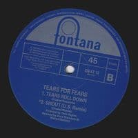 TEARS FOR FEARS Sowing The Seeds Of Love Vinyl Record 12 Inch Fontana 1989.