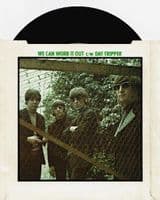 THE BEATLES We Can Work It Out / Day Tripper Vinyl Record 7 Inch Parlophone 1976 UK 45 Pic Sleeve -4