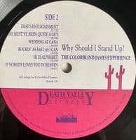 THE COLORBLIND JAMES EXPERIENCE Why Should I Stand Up? Vinyl Record LP Cooking Vinyl 1989