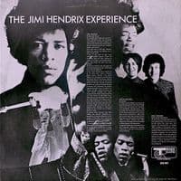 THE JIMI HENDRIX EXPERIENCE Are You Experienced Vinyl Record LP Track 1967