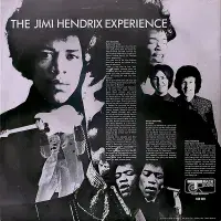 THE JIMI HENDRIX EXPERIENCE Are You Experienced Vinyl Record LP Track 1967 Rare UK Mono 1st Press A1