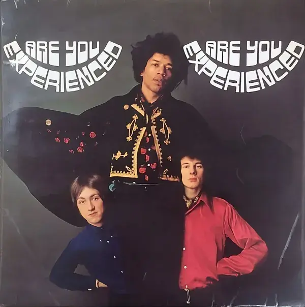 THE JIMI HENDRIX EXPERIENCE Are You Experienced Vinyl Record LP Track 1967 Rare UK Mono 1st Press A1