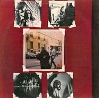 The Nice Nice Vinyl LP | Planet Earth Records