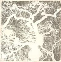 THE STRAWBS From The Witchwood Vinyl Record LP A&M 1971