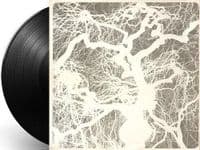 THE STRAWBS From The Witchwood Vinyl Record LP A&M 1971