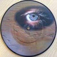 THUNDER Stand Up Vinyl Record 7 Inch EMI 1994 Picture Disc