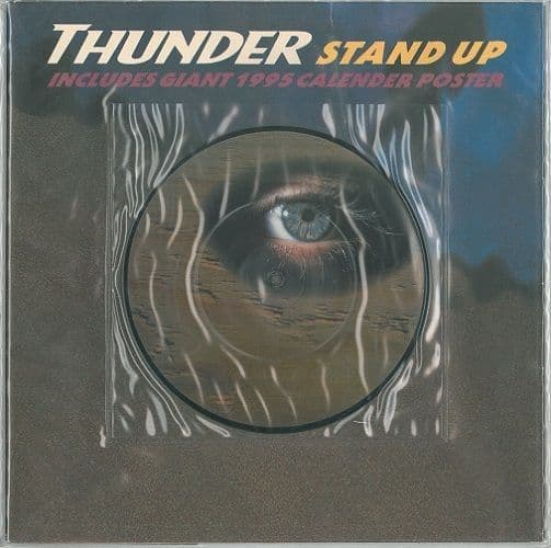 THUNDER Stand Up Vinyl Record 7 Inch EMI 1994 Picture Disc