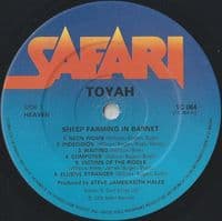 TOYAH Sheep Farming In Barnet Vinyl Record LP Safari 1979