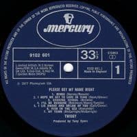 TWIGGY Please Get My Name Right Vinyl Record LP Mercury 1977