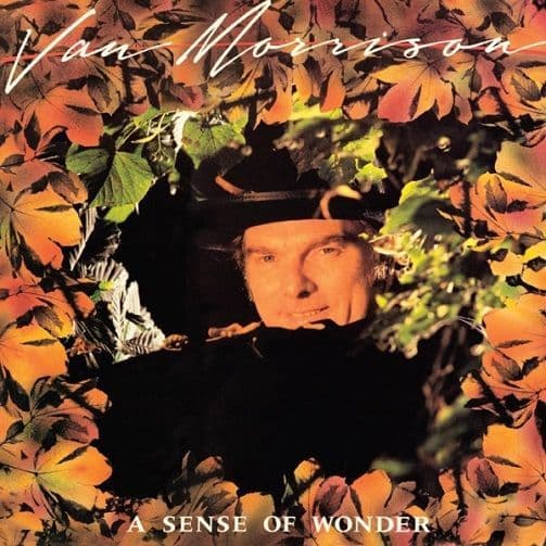 VAN MORRISON A Sense Of Wonder Vinyl Record LP Mercury 1984