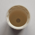 Pegler Terrier White Radiator Valve Lockshield Cap - 07002520
