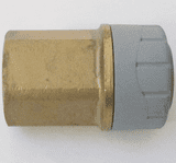 Polyplumb Push Fit 15mm x 1/2 inch Female Iron Coupling - 29P02015