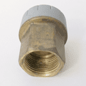 Polyplumb Push Fit 22mm x 3/4 in Female Iron Coupling - 29P02022