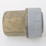 Polyplumb Push Fit 22mm x 3/4 in Female Iron Coupling - 29P02022