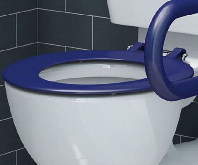 Saxon Blue Seat Only with Stainless Steel Hinges - 02002028