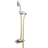 Trevi Chrome and Light Gold Shower Riser Kit E4605AZ