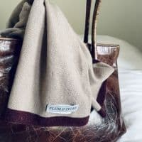 Cashmere Scarf With Contrasting Edge < Fashion accessories | PLUM & IVORY LTD