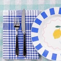 Set of Gingham Cotton Tea Towel Napkins < Gorgeous Gifts I PLUM & IVORY LTD
