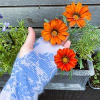 Women's Cashmere Wrist Warmers Blue < Fashion accessories | PLUM & IVORY LTD