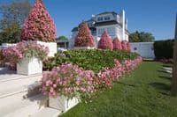 Chippendale Planters From potstore.co.uk