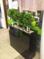 Fibreglass Trough Planters from potstore.co.uk