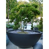 Faux Lead Bowl Planter From potstore.co.uk