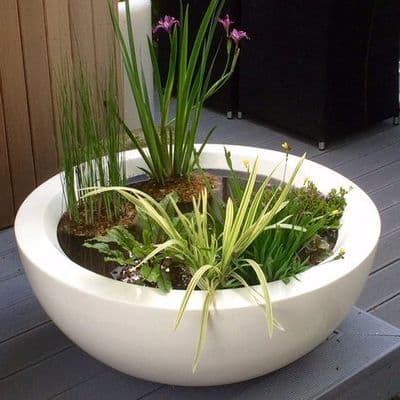 Fibreglass (GRP) Bowl Planter