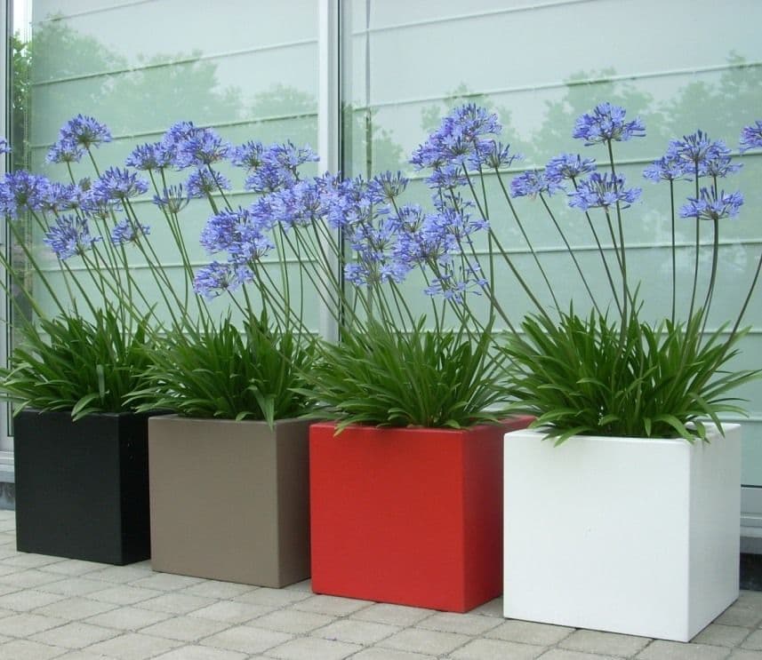 Fibreglass Square Pots from potstore.co.uk