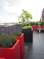 Fibreglass Tall Square Pots from potstore.co.uk