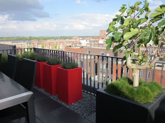 Fibreglass Tall Square Pots from potstore.co.uk