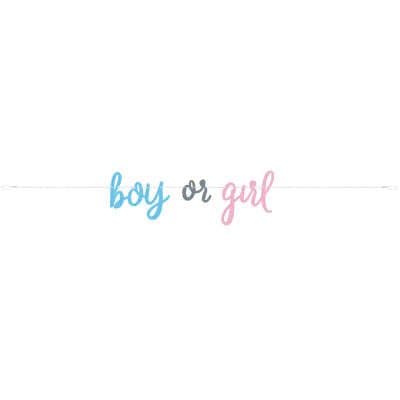 'Girl or Boy' Gender Reveal Card Banner
