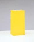 10 Neon Colour Paper Loot/ Party Bags